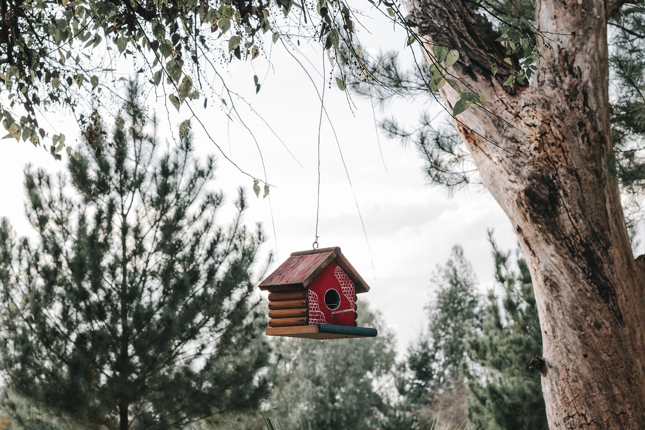 Creating a Wildlife Friendly Garden - A Sustainable Approach
